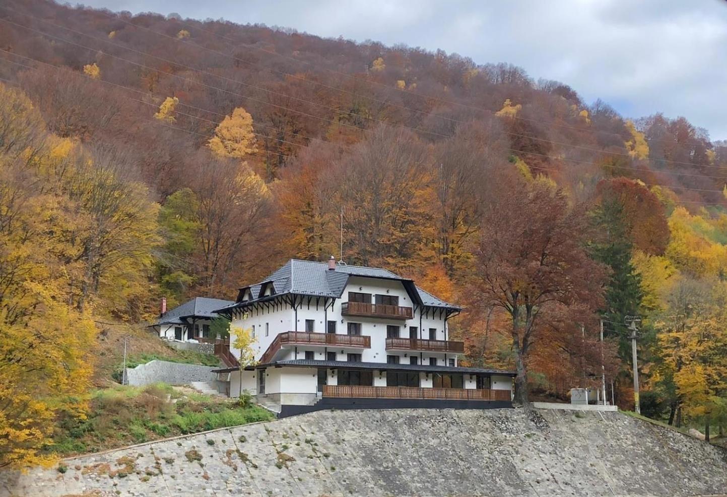 Hotel Poiana Mucenicului Arefu Exterior foto