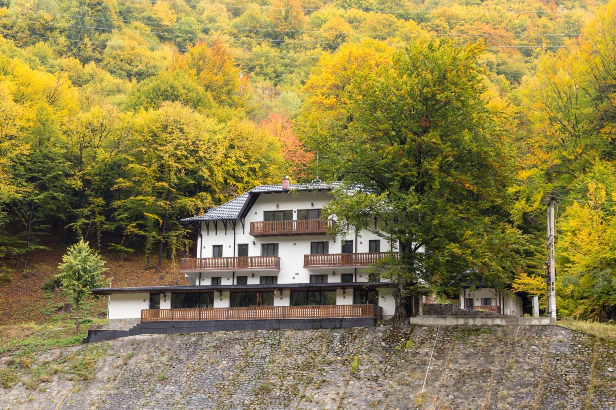 Hotel Poiana Mucenicului Arefu Exterior foto